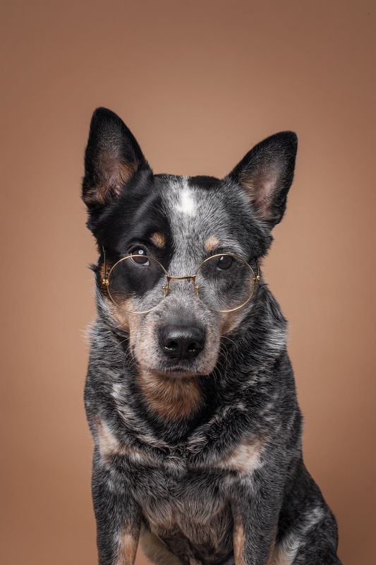 Профессорphoto preview