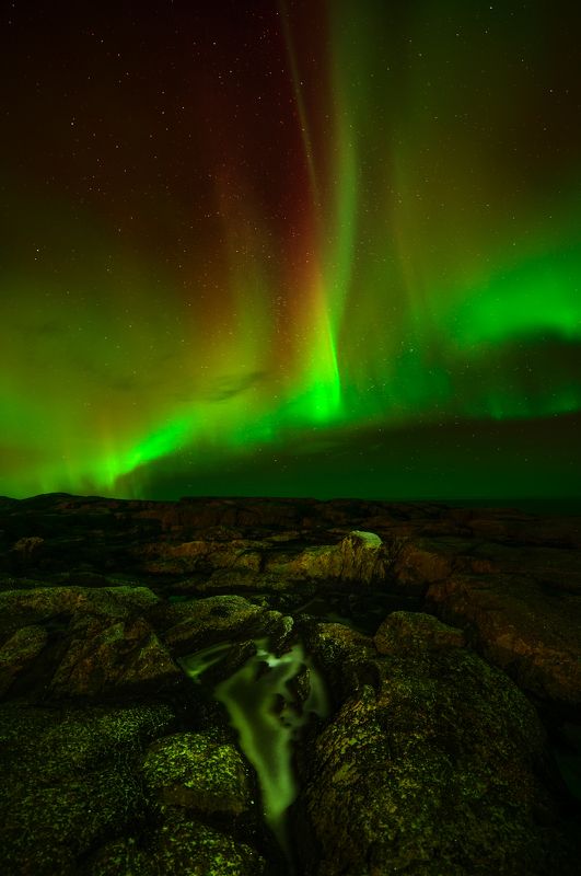 Импульс....  фото превью