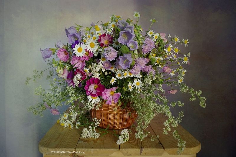 натюрморт, цветы, вера павлунина, колокольчик, ромашки, Летний цветочный натюрphoto preview