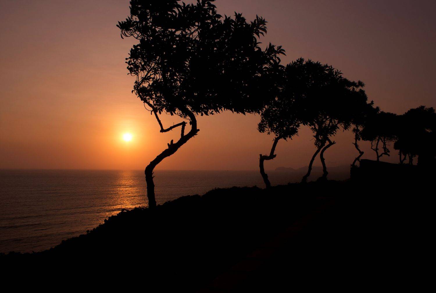 Перу, Лима, закат, деревья, танцующие, пейзаж, природа, океан, море, силуэты, Максимушкина Ольга