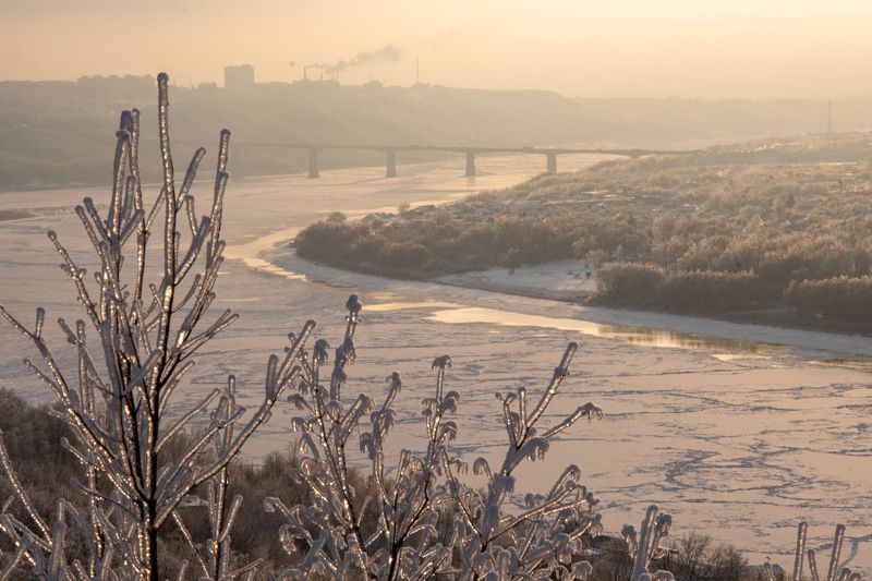 Хрустальные веточкиphoto preview