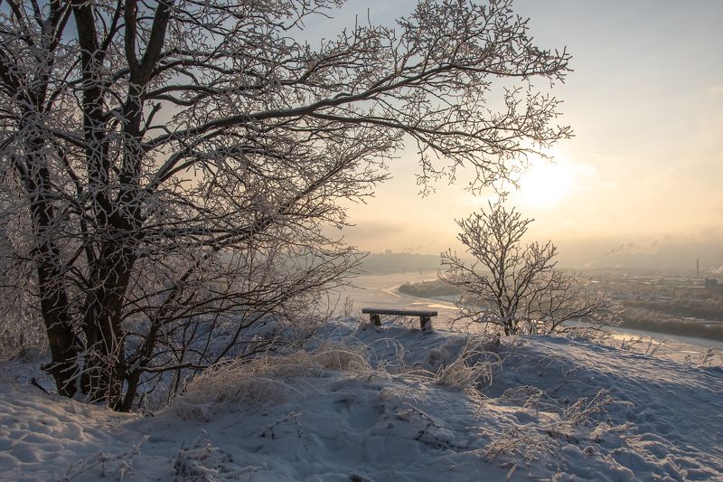 зима, снег, иней, начало зимы, На краю зимыphoto preview