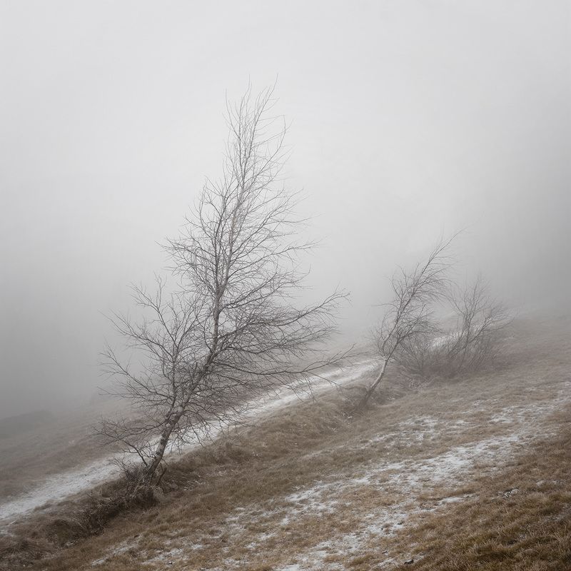 landscape, mountains, forest, woods, trees, tree, hiking, wood, outdoors, cz, czechrepublic, europe, valassko, beskydy, sigma, nikon, art, nature, beauty, scenery, outside, countryside, day, mist, fog Ожидание зимыphoto preview