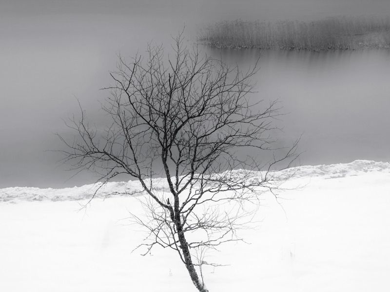 На стыке осени и зимыphoto preview