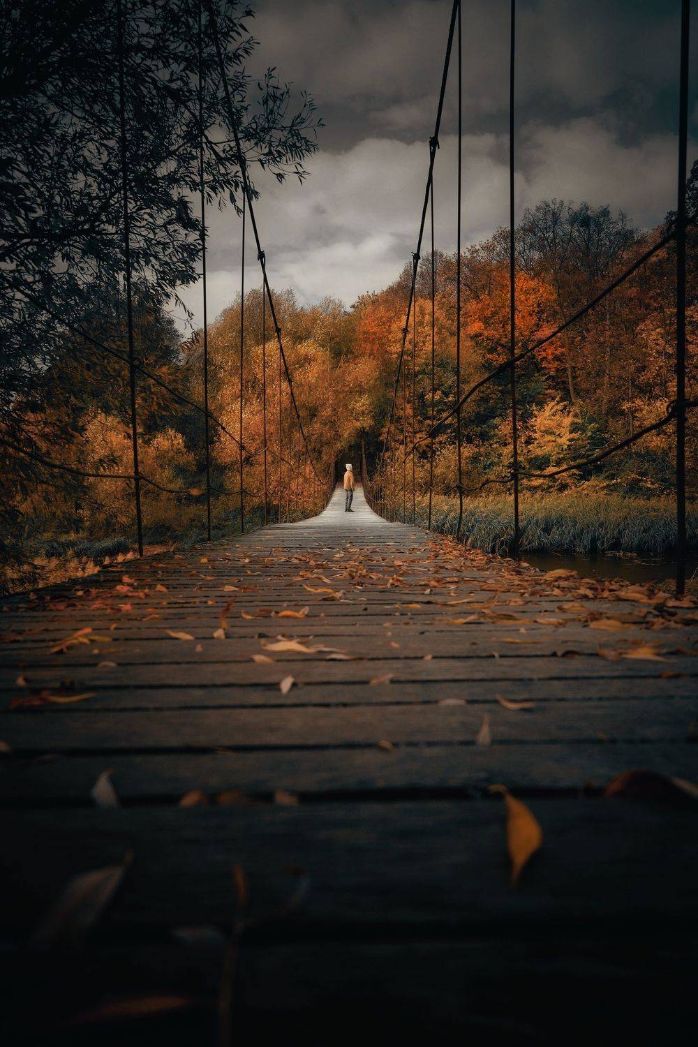 Автор: Татьяна Максакова осень,осенние листья,вечер,краски осени, Татьяна Максакова