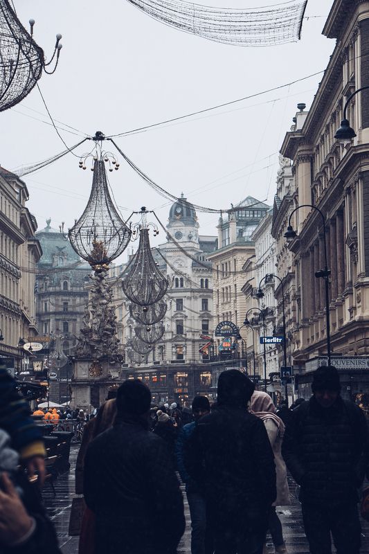 Венаphoto preview