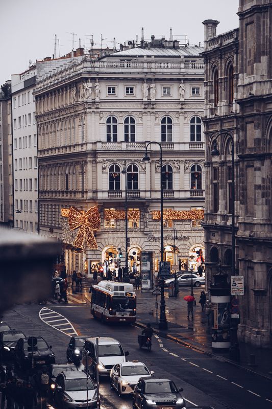 Венаphoto preview