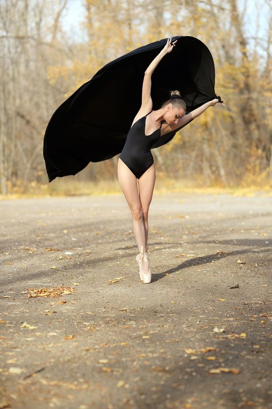 Танец осенних листьевphoto preview