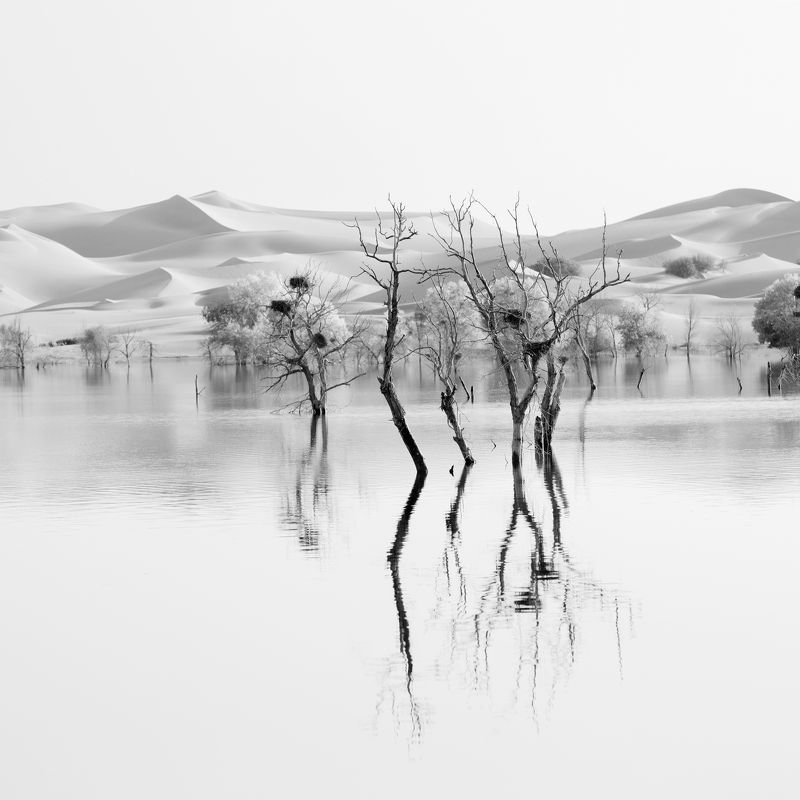 沙漠秋色photo preview