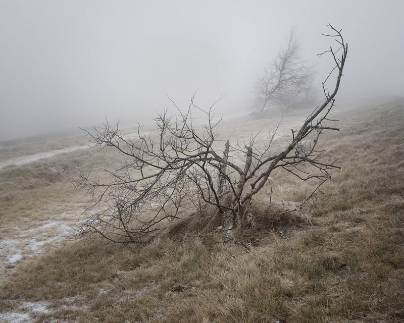 landscape, mountains, forest, woods, trees, tree, hiking, wood, outdoors, cz, czechrepublic, europe, valassko, beskydy, sigma, nikon, art, nature, beauty, scenery, outside, countryside, day, mist, fog Мечтаphoto preview