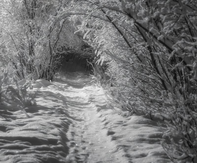 Зимняя тропинка.photo preview