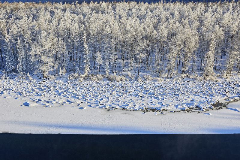 Зимний лес вдоль рекиphoto preview