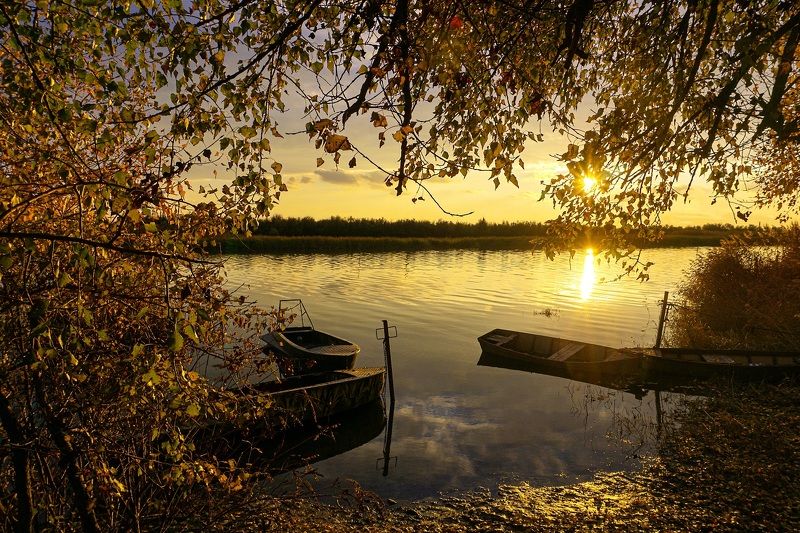 На закате.photo preview