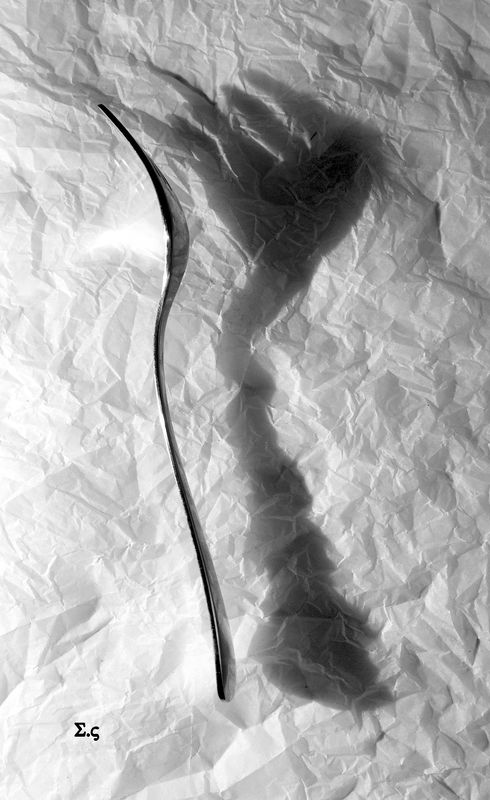 ВИЛКИ ТЕНИ FORK ВИЛКИ И ТЕНИphoto preview