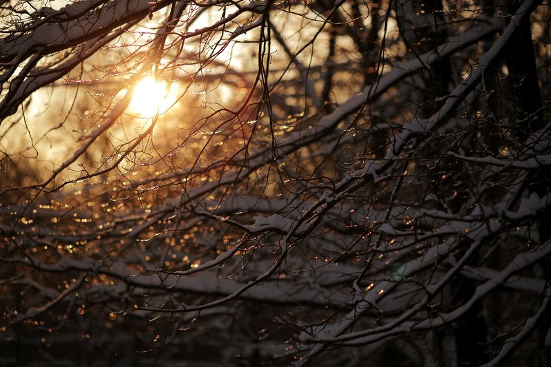 зима Холодное солнцеphoto preview