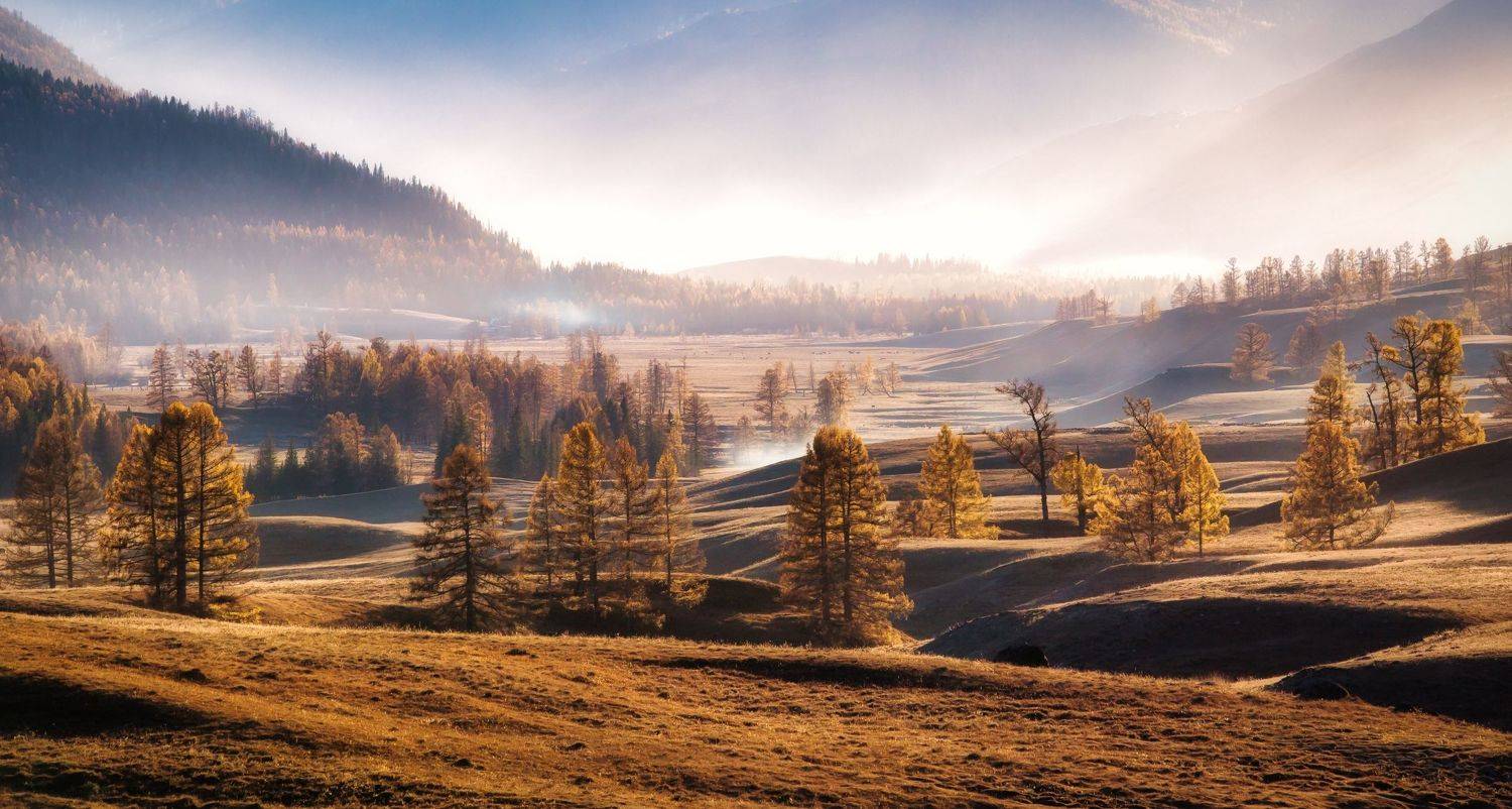 Тепло. Автор: Алексей Мараховец Алтай, Россия, Алексей Мараховец