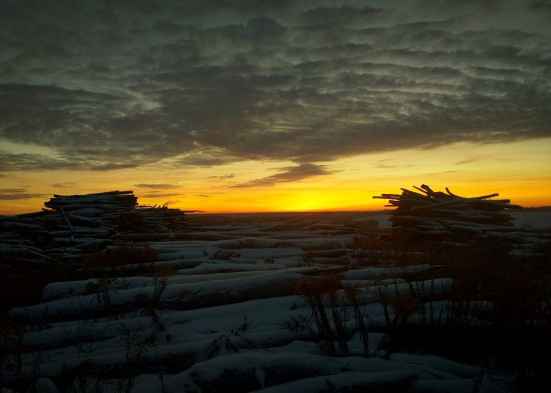 утро, небо, облака, рассвет, зима Рассвет на лесоповале.photo preview