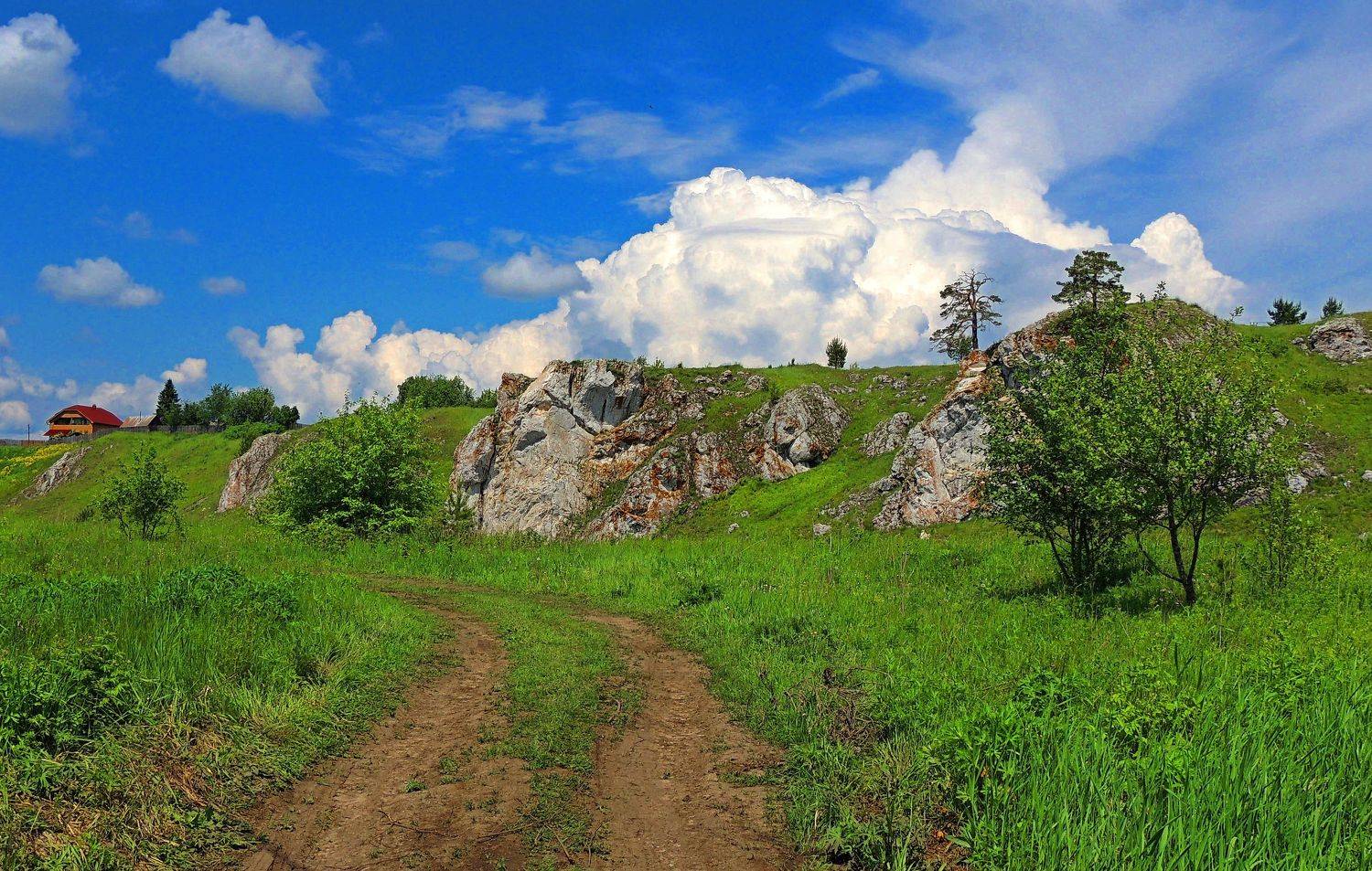 , Марков Сергей