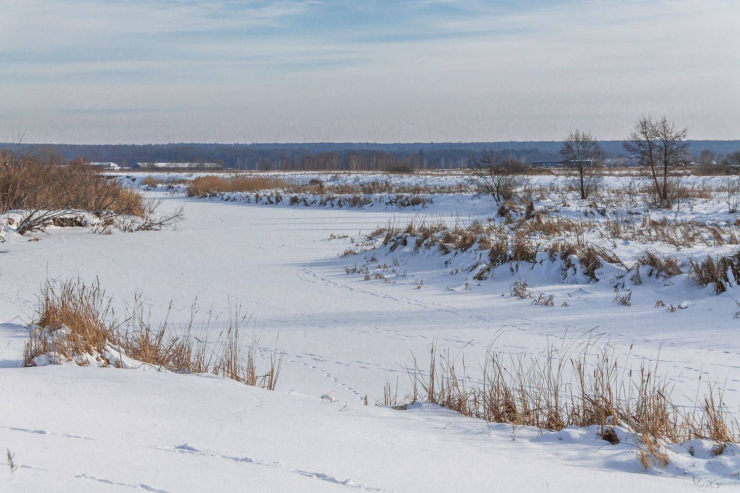 Морозное утро. Автор: Alexander Eliseev , Alexander Eliseev