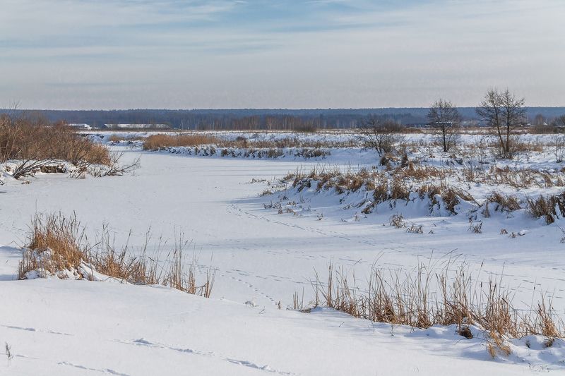 Морозное утро фото превью