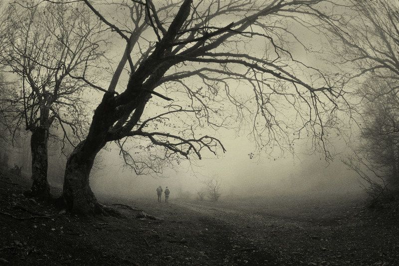 Дни поздней осени...photo preview