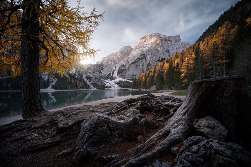 Mountain, alps, lake, fall, dolomites, autumn, trees Lost in Cold Dreamsphoto preview