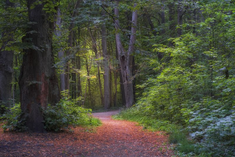 В Паркеphoto preview