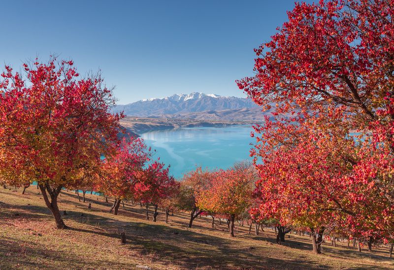 узбекистан, чарвакское водохранилище photo preview