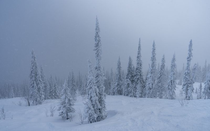 Снежный рай…  Snow paradise...photo preview