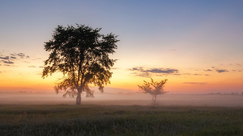 туман на закате фото превью