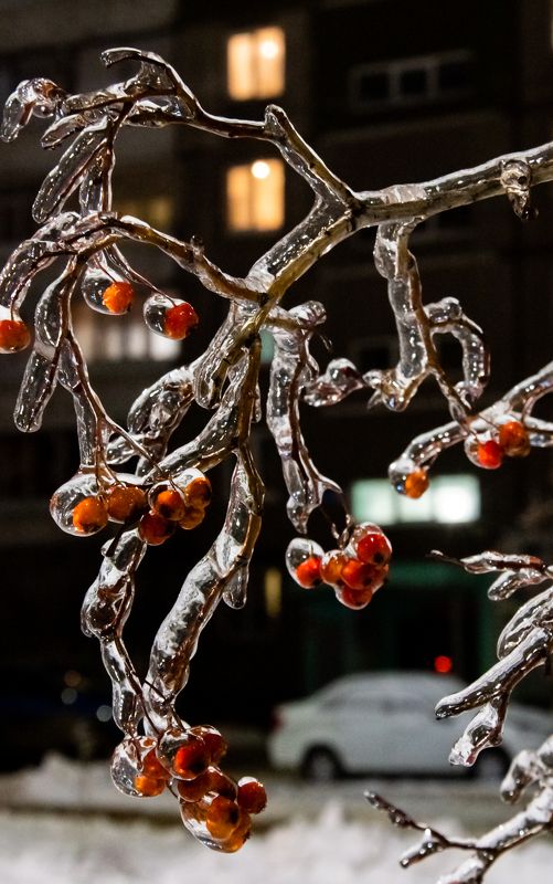 лёд, ледяной дождь, 2022 Ледяная карамельphoto preview