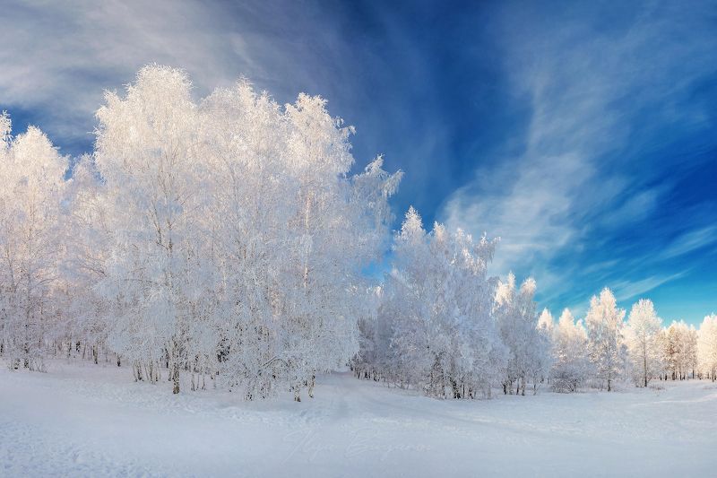 иркутск, академгородок Мороз и солнцеphoto preview