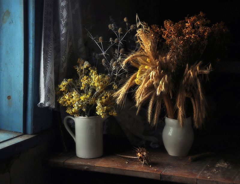 В ожидании солнцаphoto preview