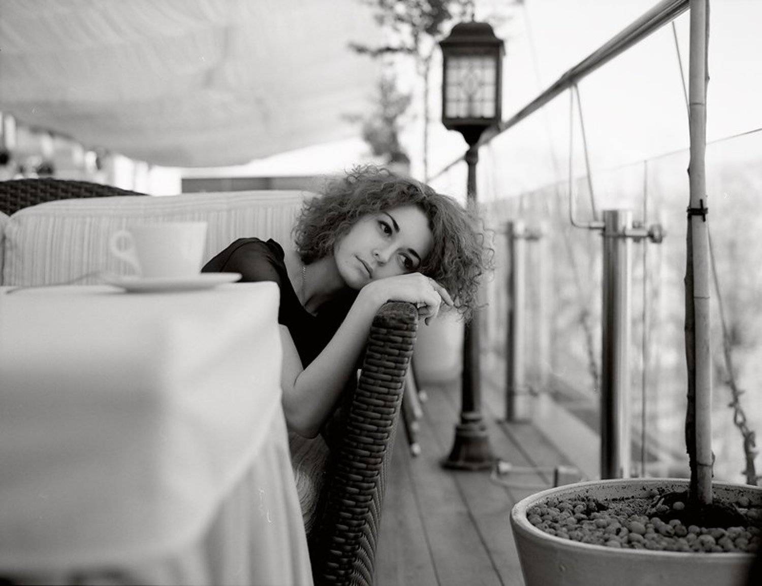 , Дмитрий Плотникофф