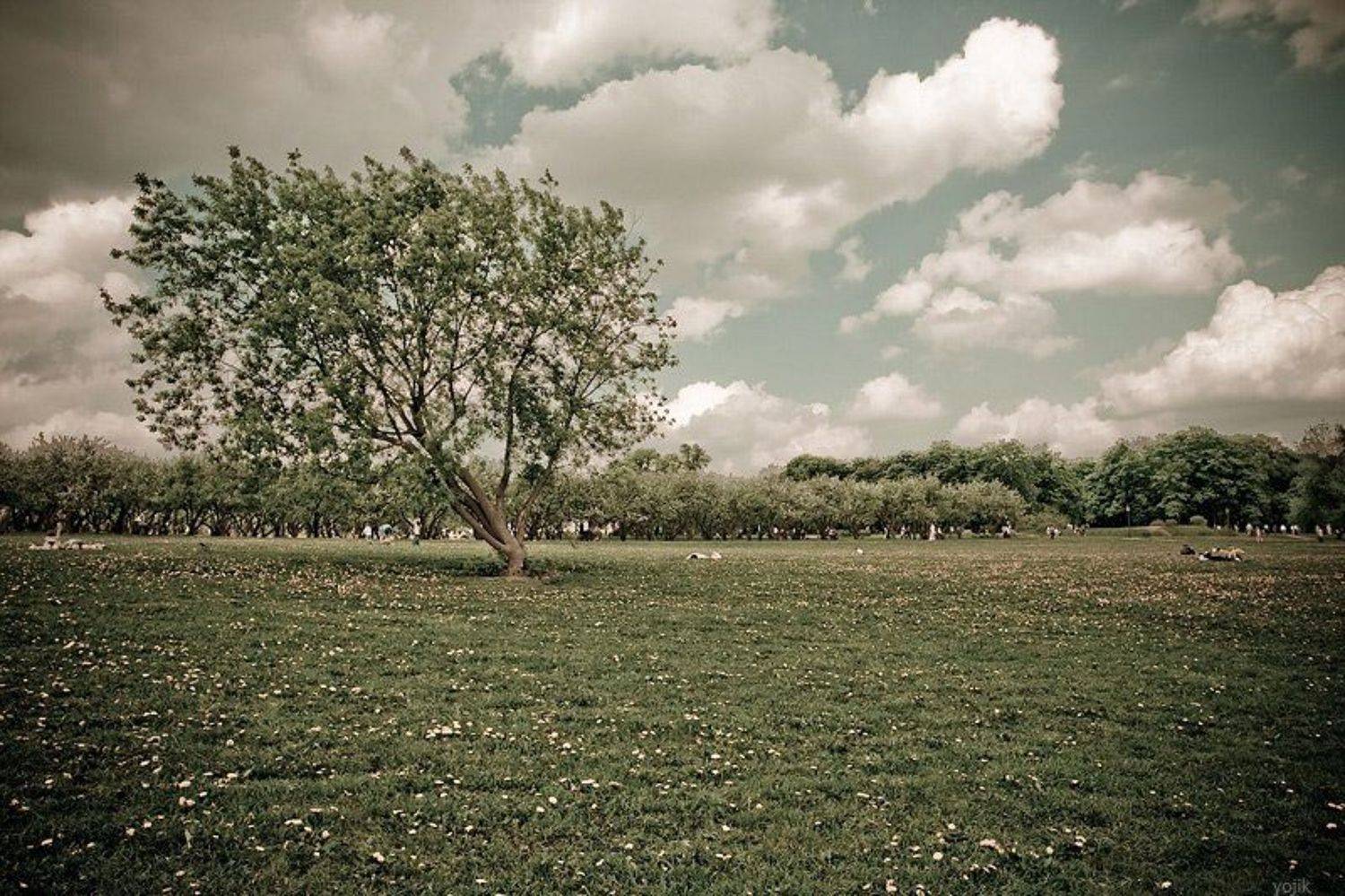 коломенское, Милый Ёжка