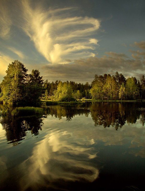 landscape, пейзаж, пружина Пружинаphoto preview