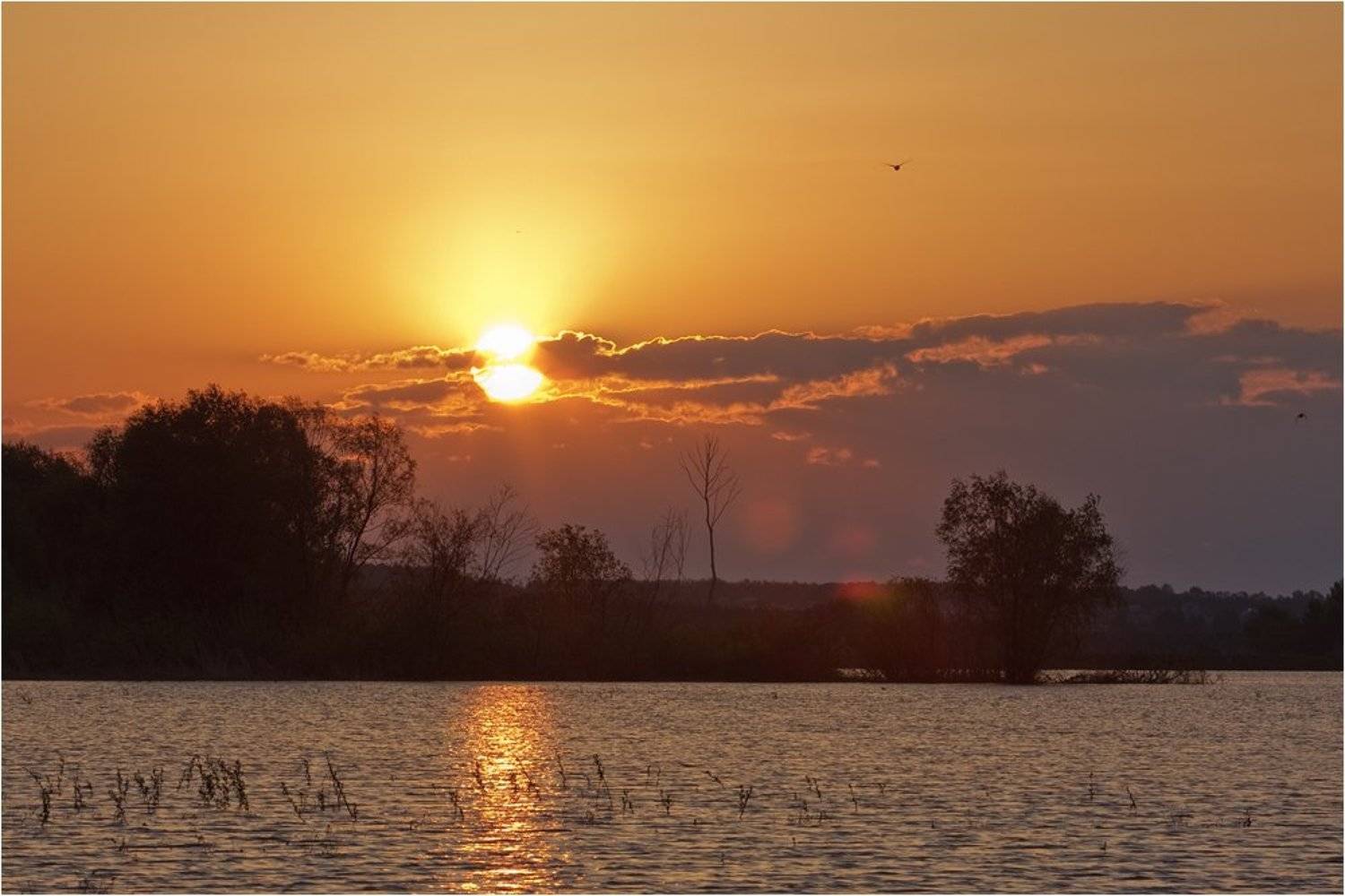 Утро на пруду. Автор: Степанов Сергей пруд, енгалышево, башкирия, Степанов Сергей