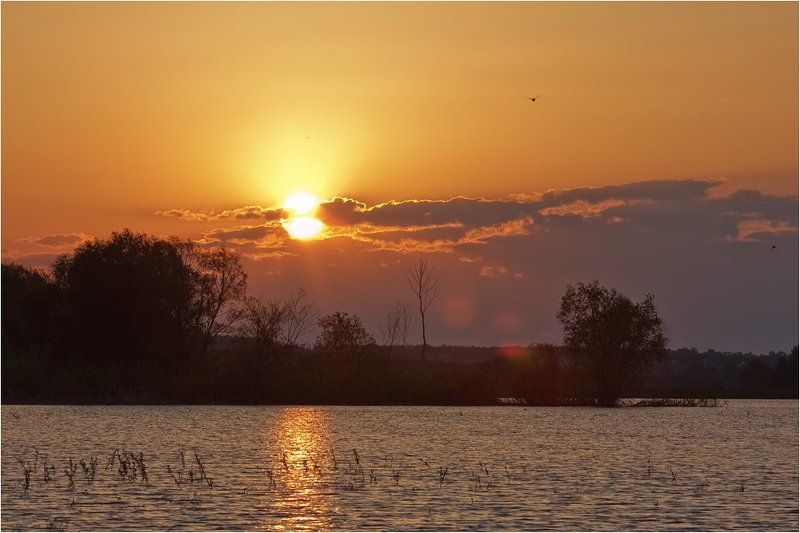 пруд, енгалышево, башкирия Утро на пруду фото превью