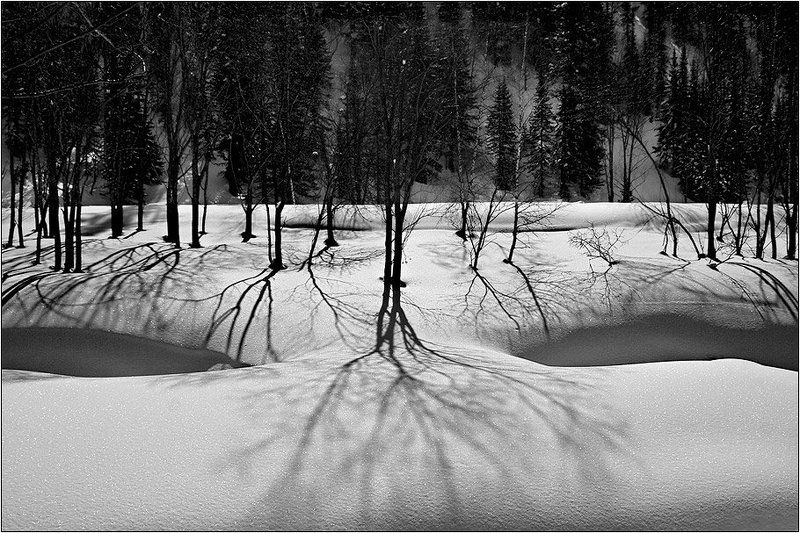 Не будите спящего Дракона...photo preview