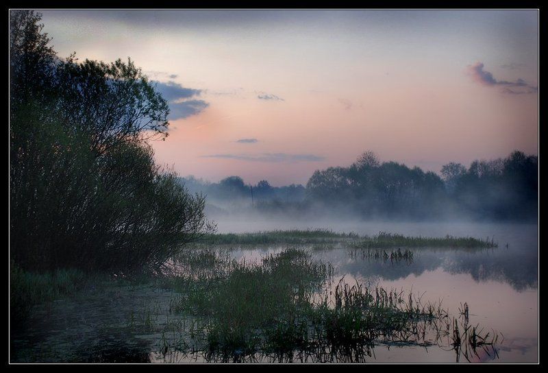 пейзаж, утро, туман, река Утро туманное...photo preview