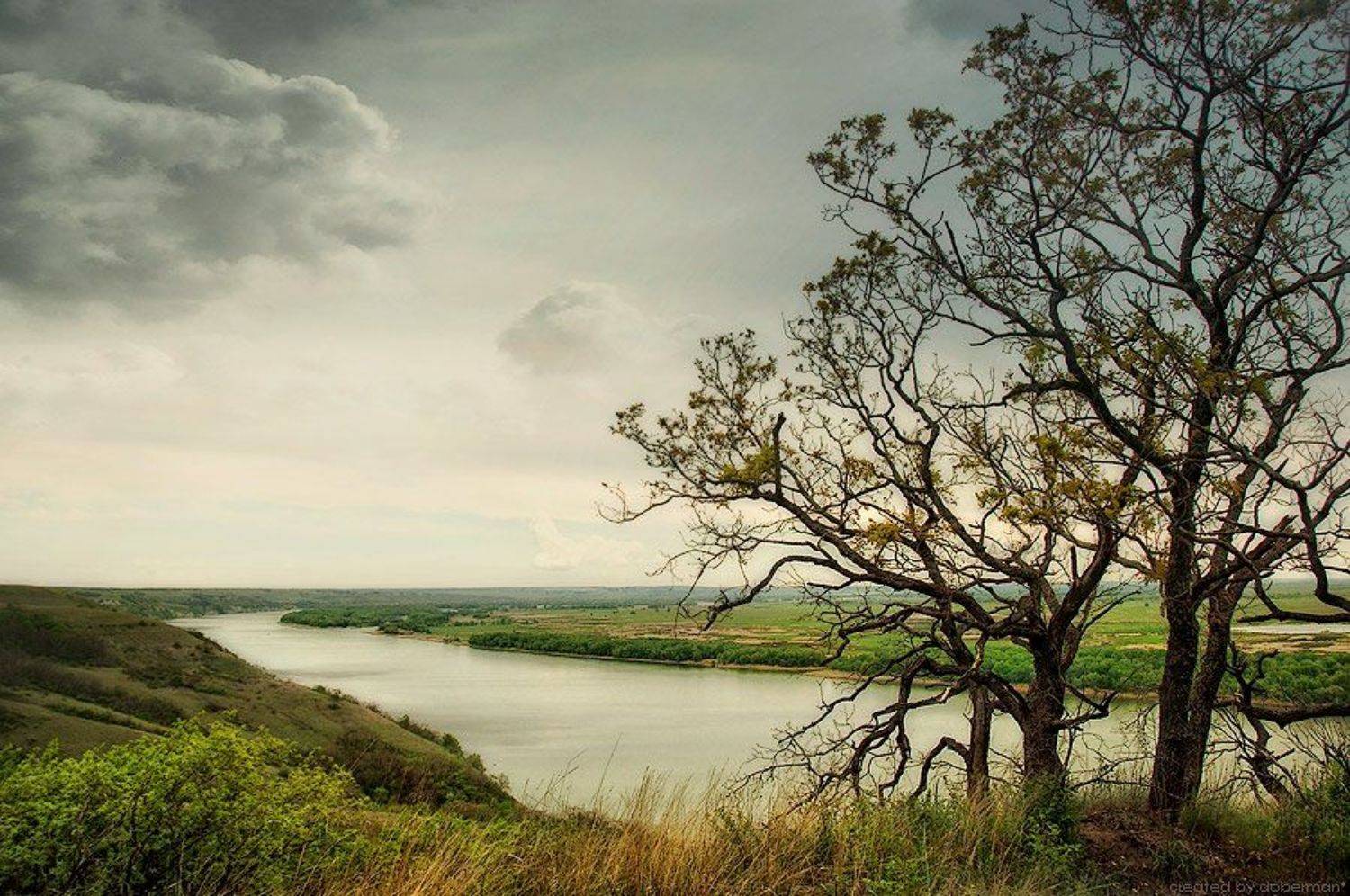 , Денис Богомолов