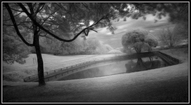 парк, пейзаж , пруд Коломенскоеphoto preview