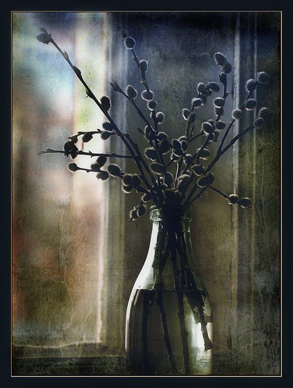 натюрморт, верба, воскресенье, окно Верба, воскресеньеphoto preview