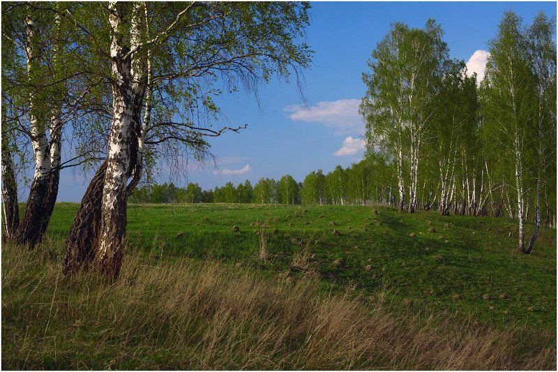 Доброе утроphoto preview