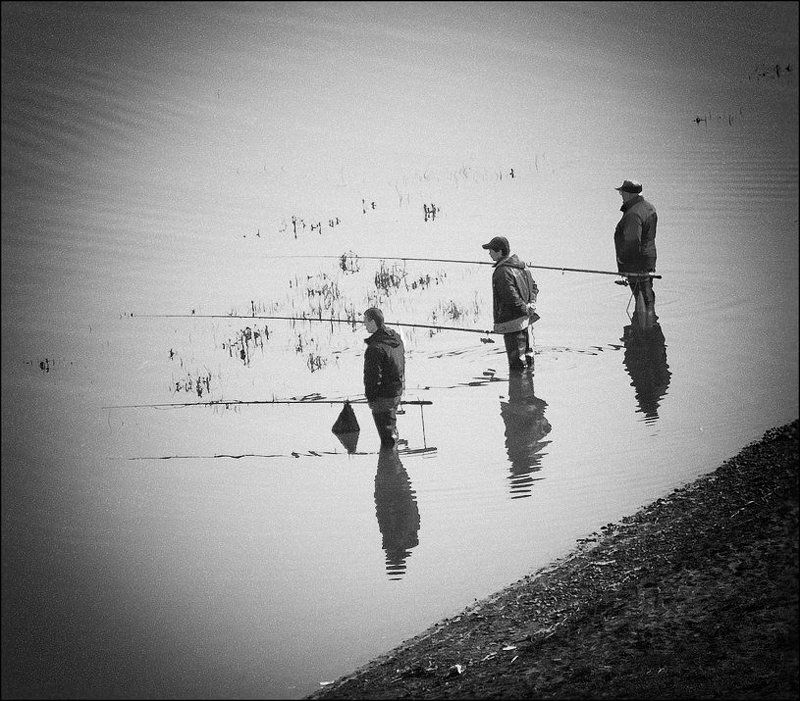 * * * фото превью