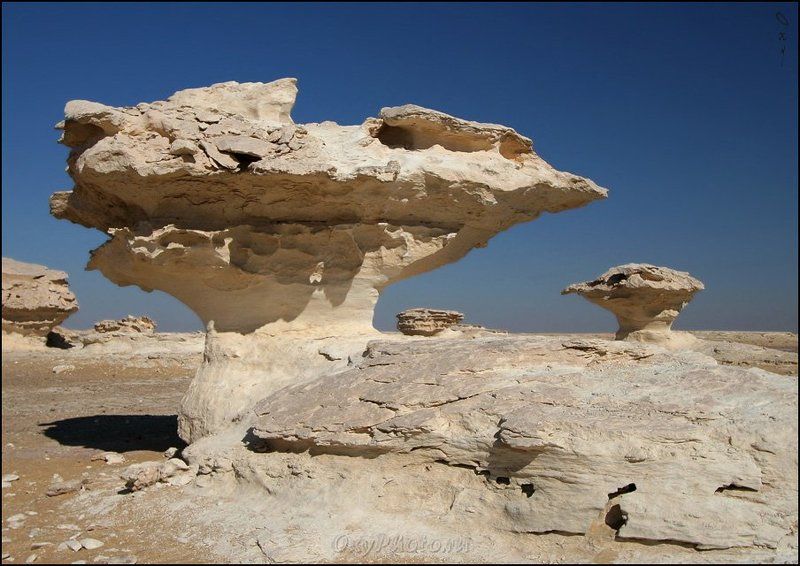 africa, egypt, libyan desert, sahara, western desert, white desert, африка, белая пустыня, египет, западная пустыня, ливийская пустыня, сахара, Сфинксы-птеродактили...photo preview