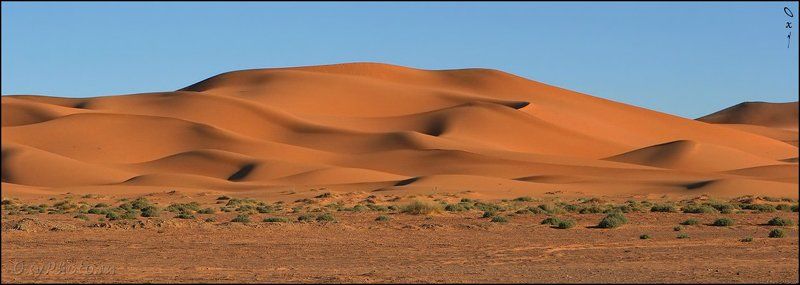 африка, марокко, africa, morocco, maroc, магриб, песок, дюны, пустыня, сахара, sand, dune, desert, sahara, эрг-шебби, erg-chebbi, merzouga, мерзуга Шёлк...photo preview