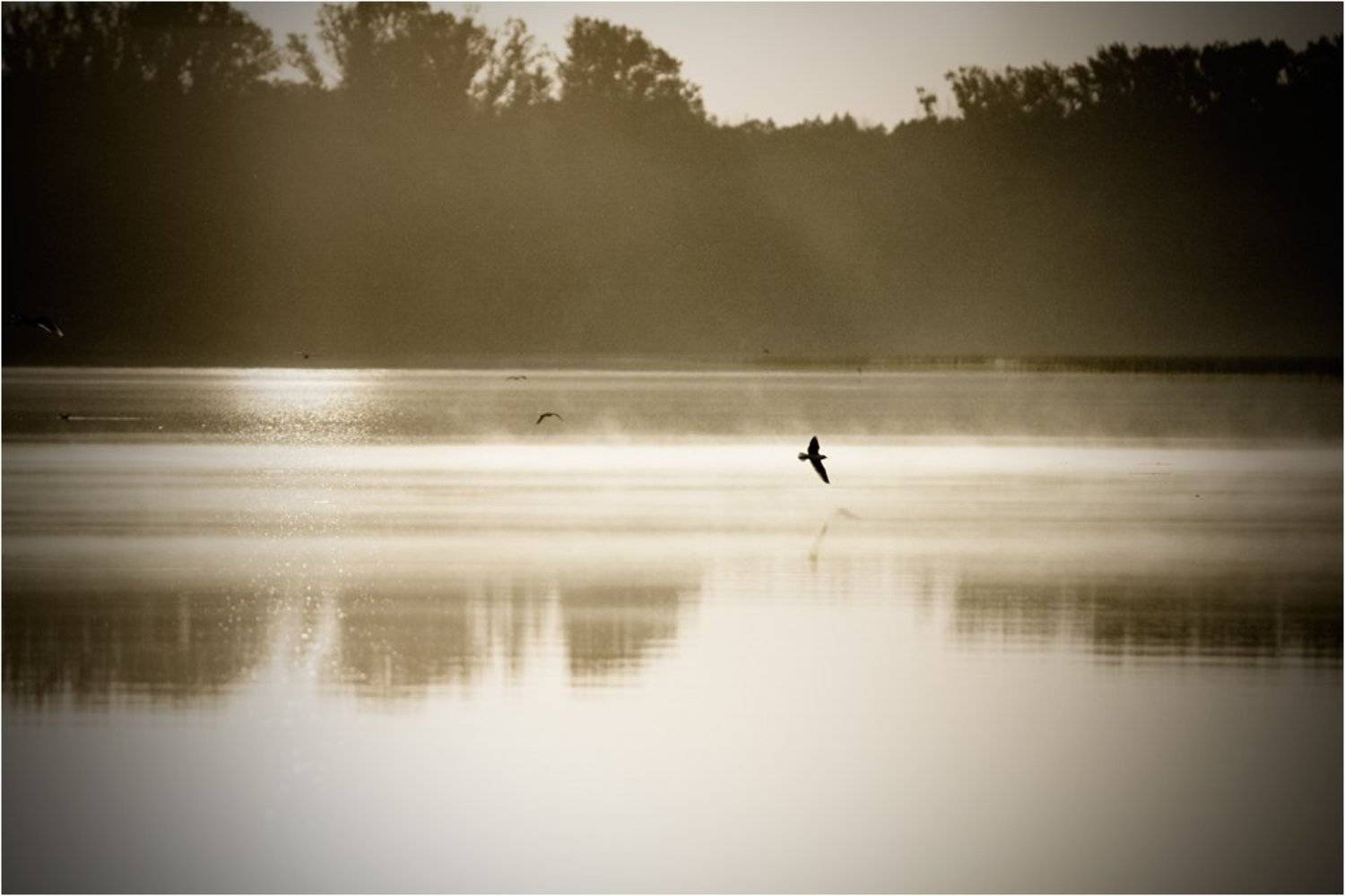 Мотыльки летящие на свет. Автор: Степанов Сергей озеро, архимандритское, башкирия, Степанов Сергей