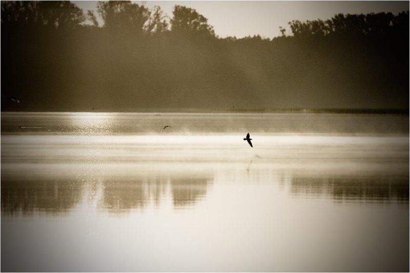 озеро, архимандритское, башкирия Мотыльки летящие на свет фото превью