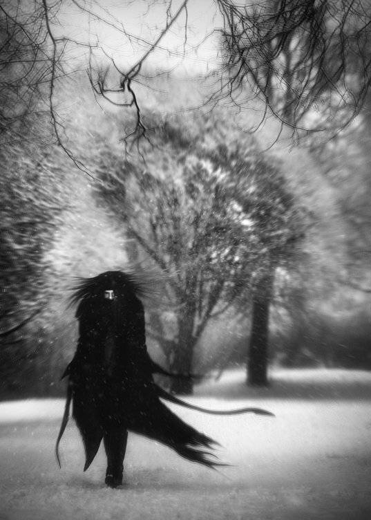 wwwest, Семенов Арсений